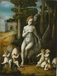 Leda en de zwaan