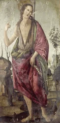 Johannes de Doper