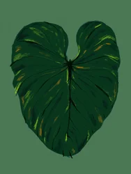 Donkergroen tropisch blad