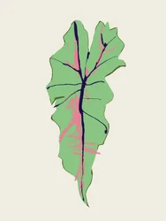 Groen blad met roze aders
