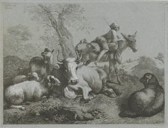 Herder op ezel bij kudde