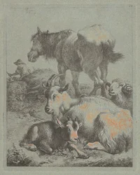 Paard, ram, geit met jong, in de verte een herder met kudde