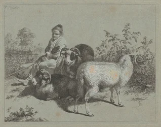 Zittende Herderin met Drie Ramsen, 1762