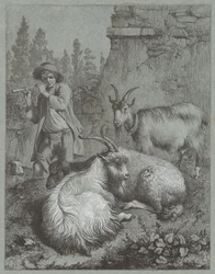 Herder die een fluit speelt met geiten