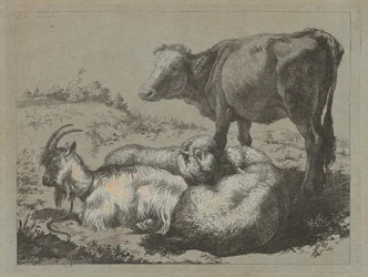 Staande os, twee schapen en een geit