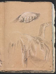 Verona schetsboek: Studie van een linkervoet en draperiestudie met rechterarm pagina 79, 1760