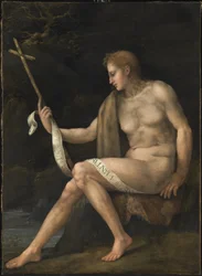 Sint Johannes de Doper in de Wildernis