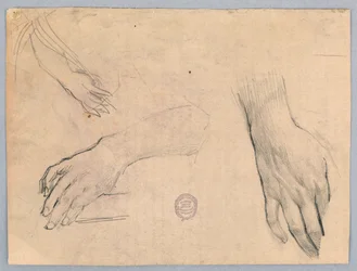 Studies van handen