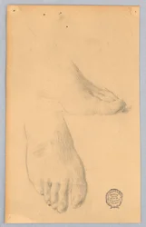Studie van Voeten