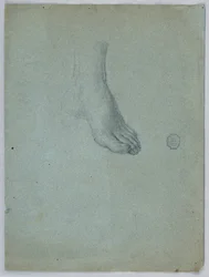 Studie van linkervoet