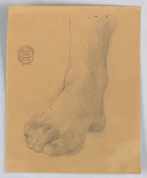Studie van rechtervoet