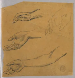 Drie studies van een hand en arm