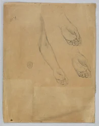 Drie studies van een linkerhand