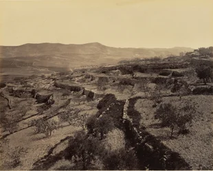 Bethlehem - Het herdersveld