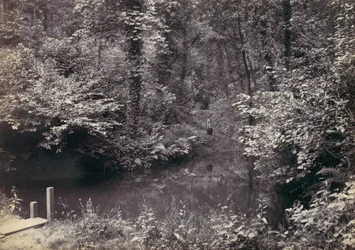 Colwyn Bay. Het zwembad in het bos, 1870s