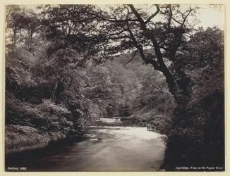 Ivy Bridge, Uitzicht op de Prysor River, 1860