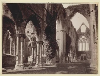 Zonder titel [Tintern Abbey]