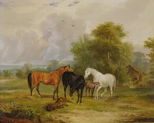 Paarden Grazend: Merries en Veulens in een Weide