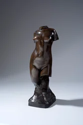 Torso