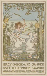 Grauwe gans en snoekbaars vleugels samen (kleurenlitho)