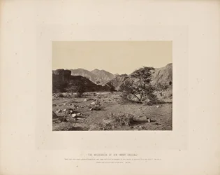 De wildernis van de zonde (Wady Shellal)