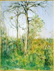 Landschap