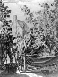 Hop Garden, een illustratie bij 