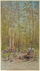 Berkenbomen