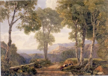 Landschap