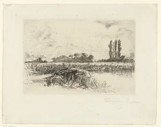 Uiterwaard