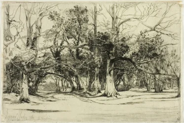Een zijweg in Tipperary