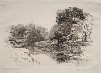 Een rivier in Ierland