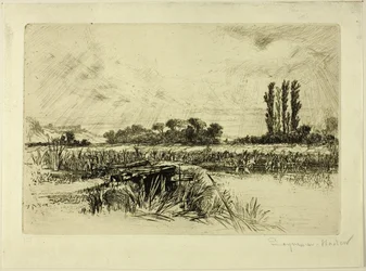 Een waterweide