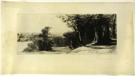 Vroege Ochtend, Richmond Park