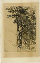 Vuren (Een Studie)