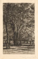 Kensington Gardens, nr. 2 Grote Plaat, 1860