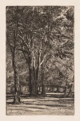 Kensington Gardens, Nr. 2 De Grotere Plaat, 1860
