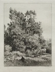 Landschap