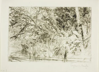 Monding van een beek, nr. II