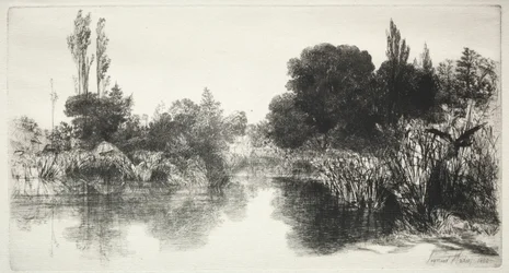 Shere Mill Pond De grotere plaat