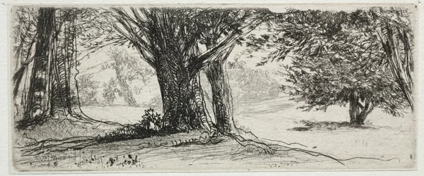 Het Hulstveld
