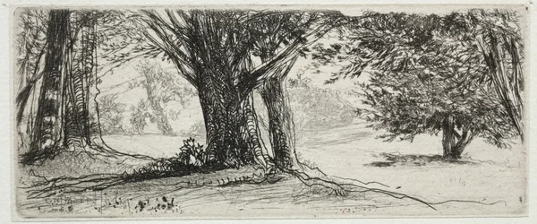 Het Hulstveld