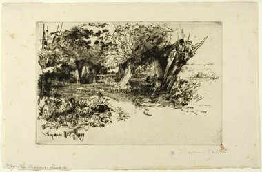De Wilgen