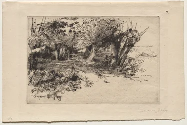 De Wilgen