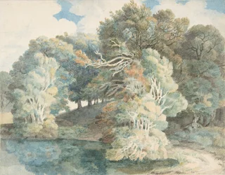 Bomen bij het Meer, Peamore Park, nabij Exeter, Devon, 1790-1810