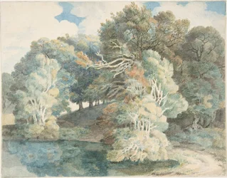 Bomen bij het meer, Peamore Park, nabij Exeter, Devon