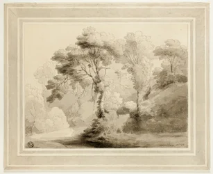 Bosrijk Landschap