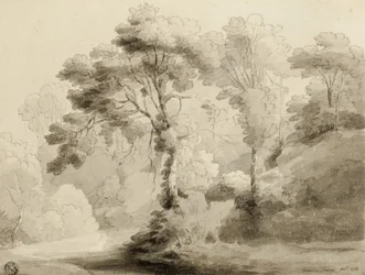 Bosrijk landschap