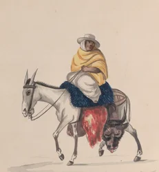Een slager die op een ezel rijdt, uit een groep tekeningen die Peruaanse kostuums uitbeelden
