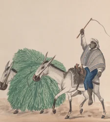 Een man die op een muilezel rijdt, zijn zweep opgeheven, een andere muilezel beladen met gras, ca. 1848